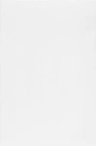 Csempe Zalakerámia ZBR 302 20x30 selyemfényű fehér I.osztály