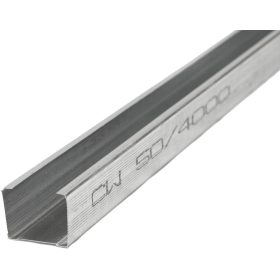 CW Profil 100mm x 3m
